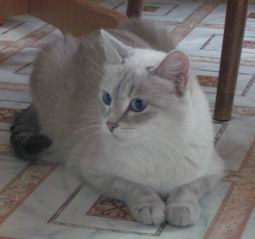 София